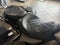 2021 Harley Davidson Road Glide Base