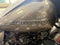 2021 Harley Davidson Road Glide Base